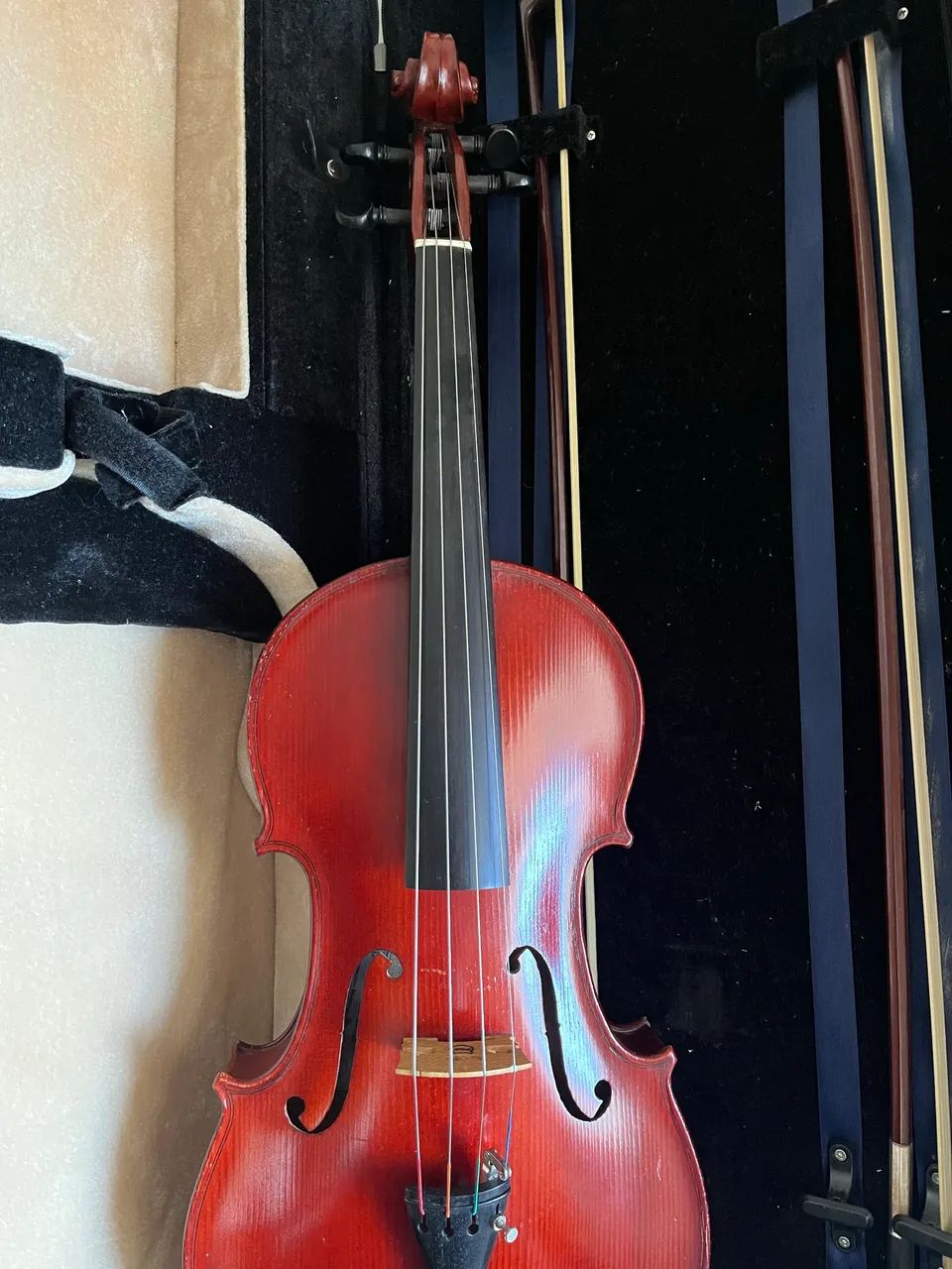 Viola de Arco 