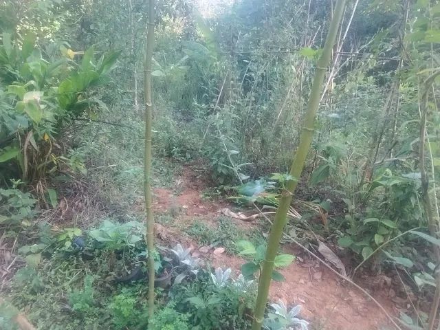 Oportunidade - Sitio Encontro das Águas - 70.000m2 - Foto 5