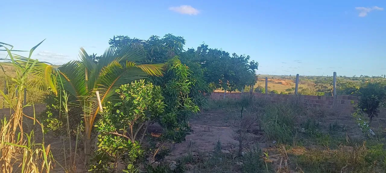 Casa. Chácara.  - Foto 5