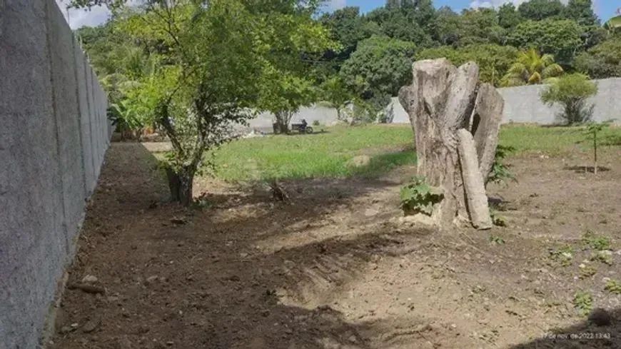 terreno murado em aldeia - Foto 3