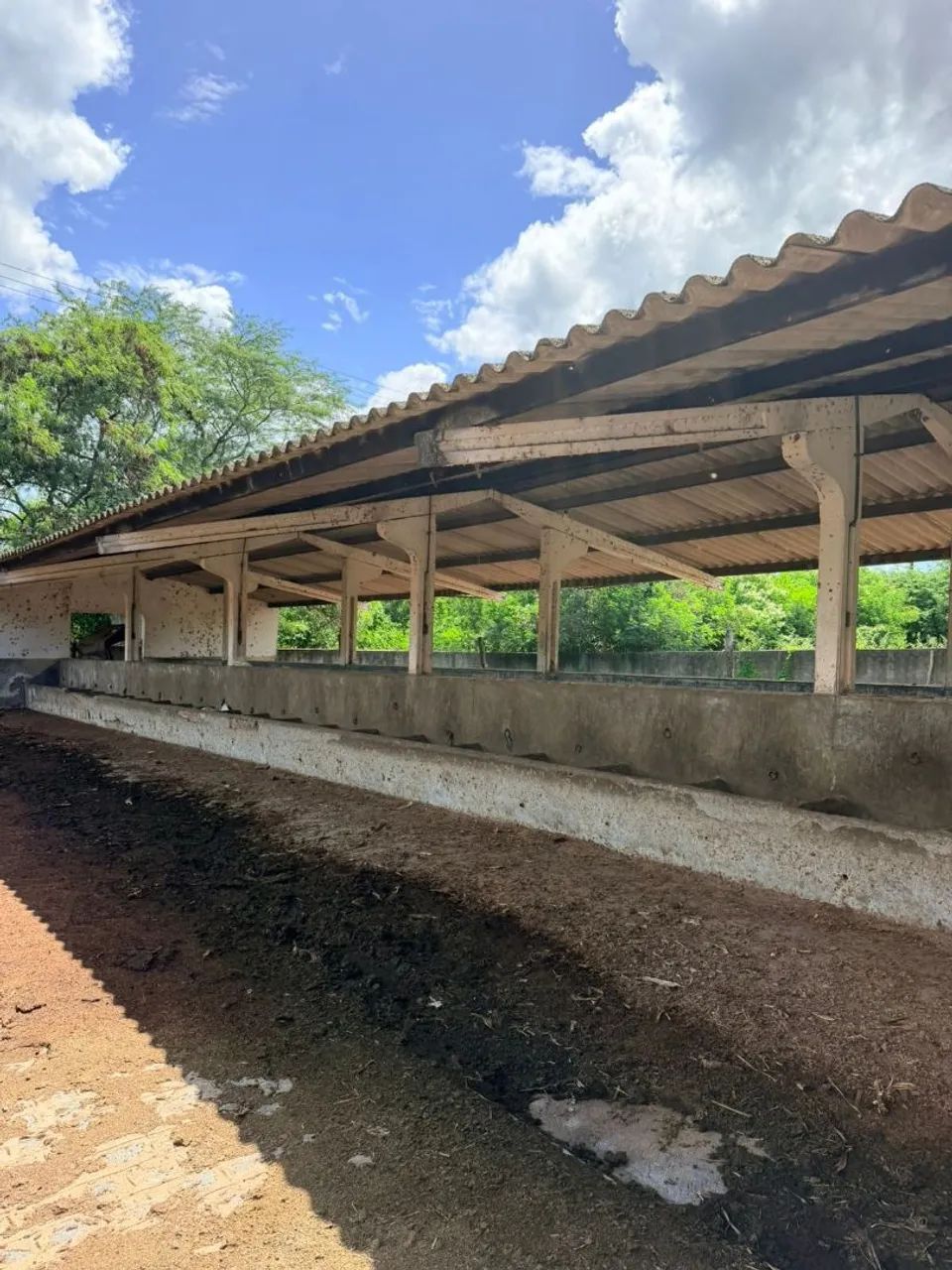  ÁREA 23HA NA BR232 VITÓRIA S.ANTAO. - Foto 5