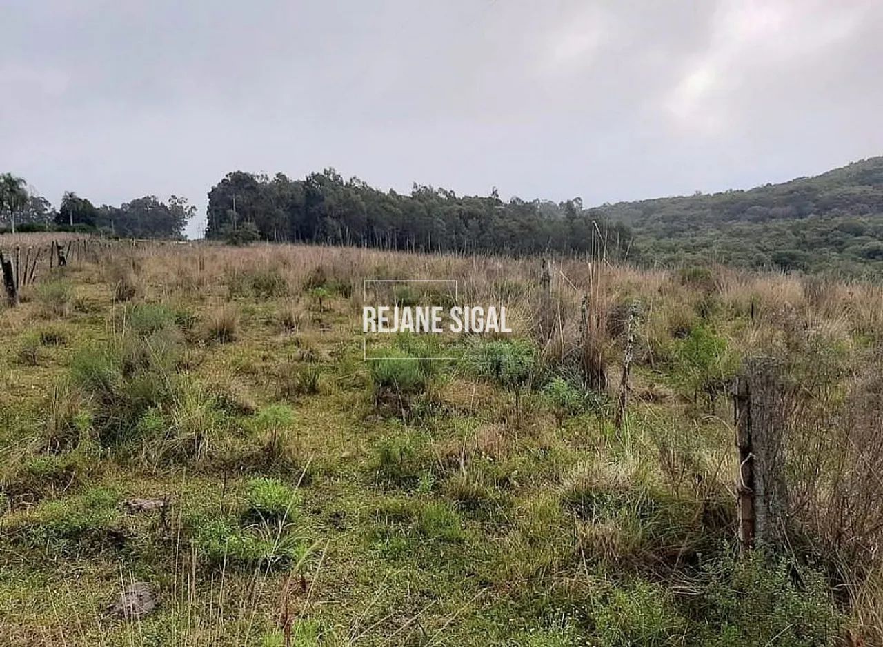 Propriedade rural em Cerrito - Foto 5
