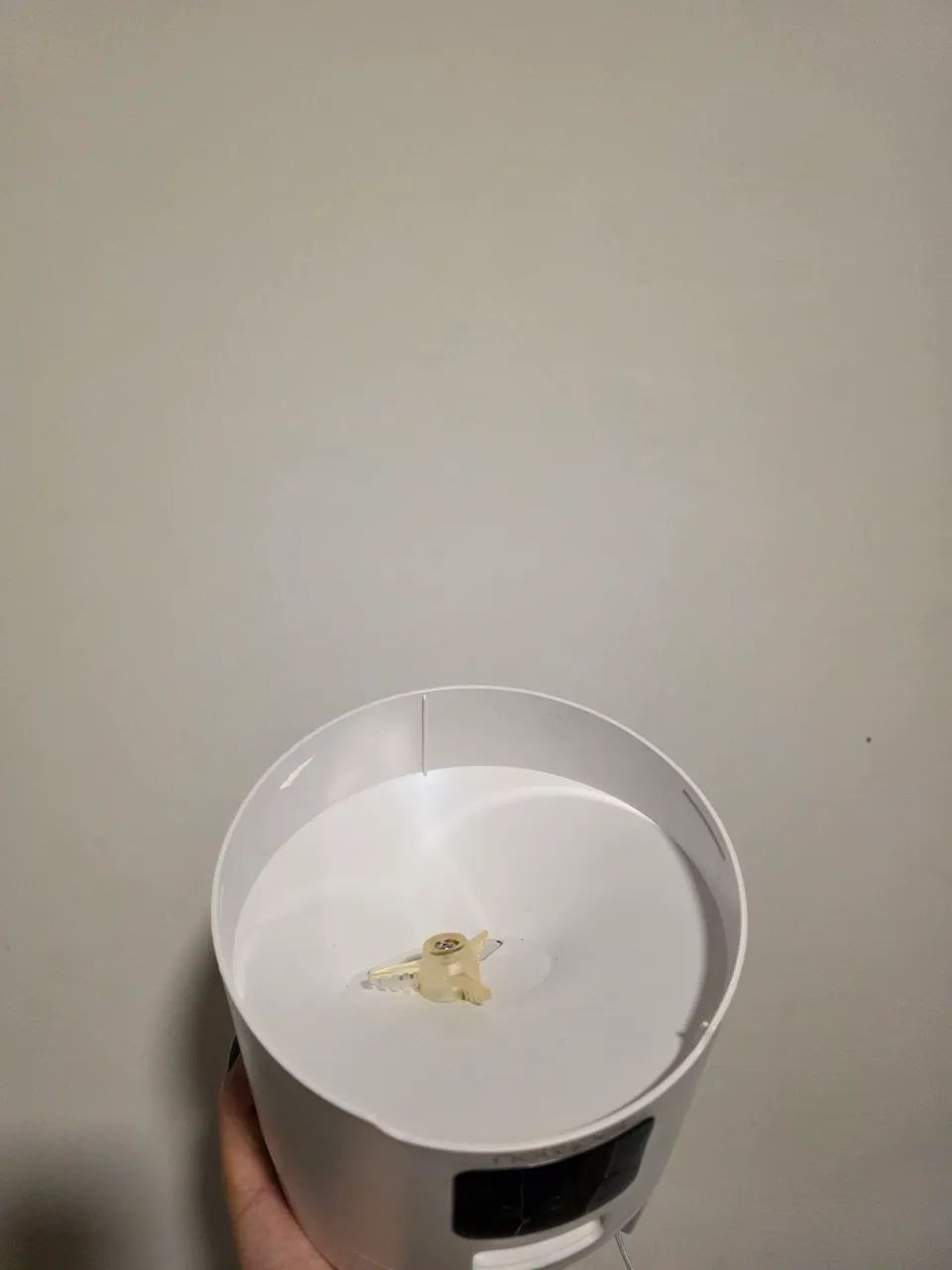 Comedouro para gatos automático