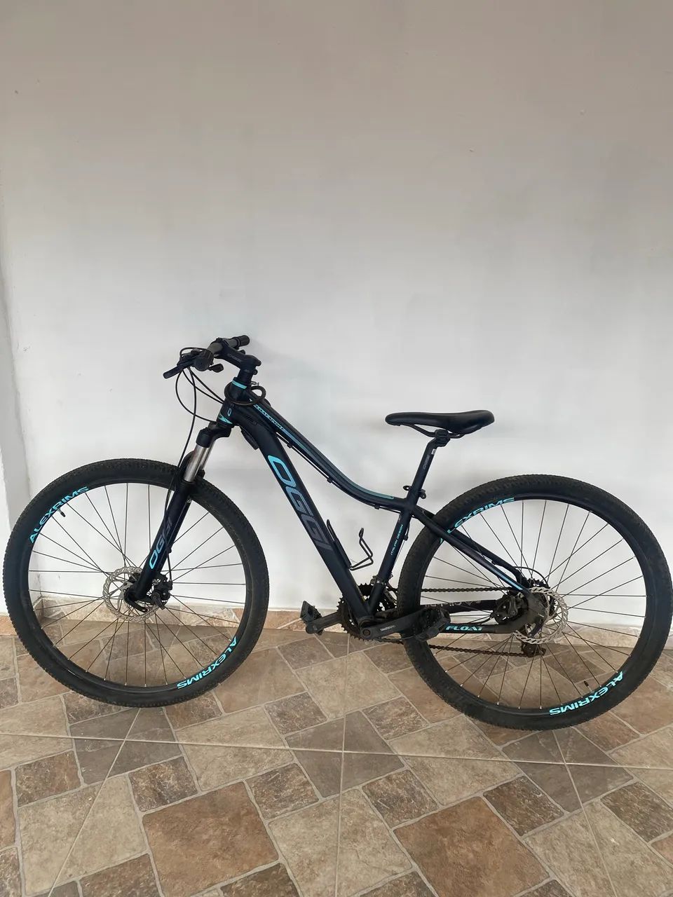 Bicicleta Oggi Float