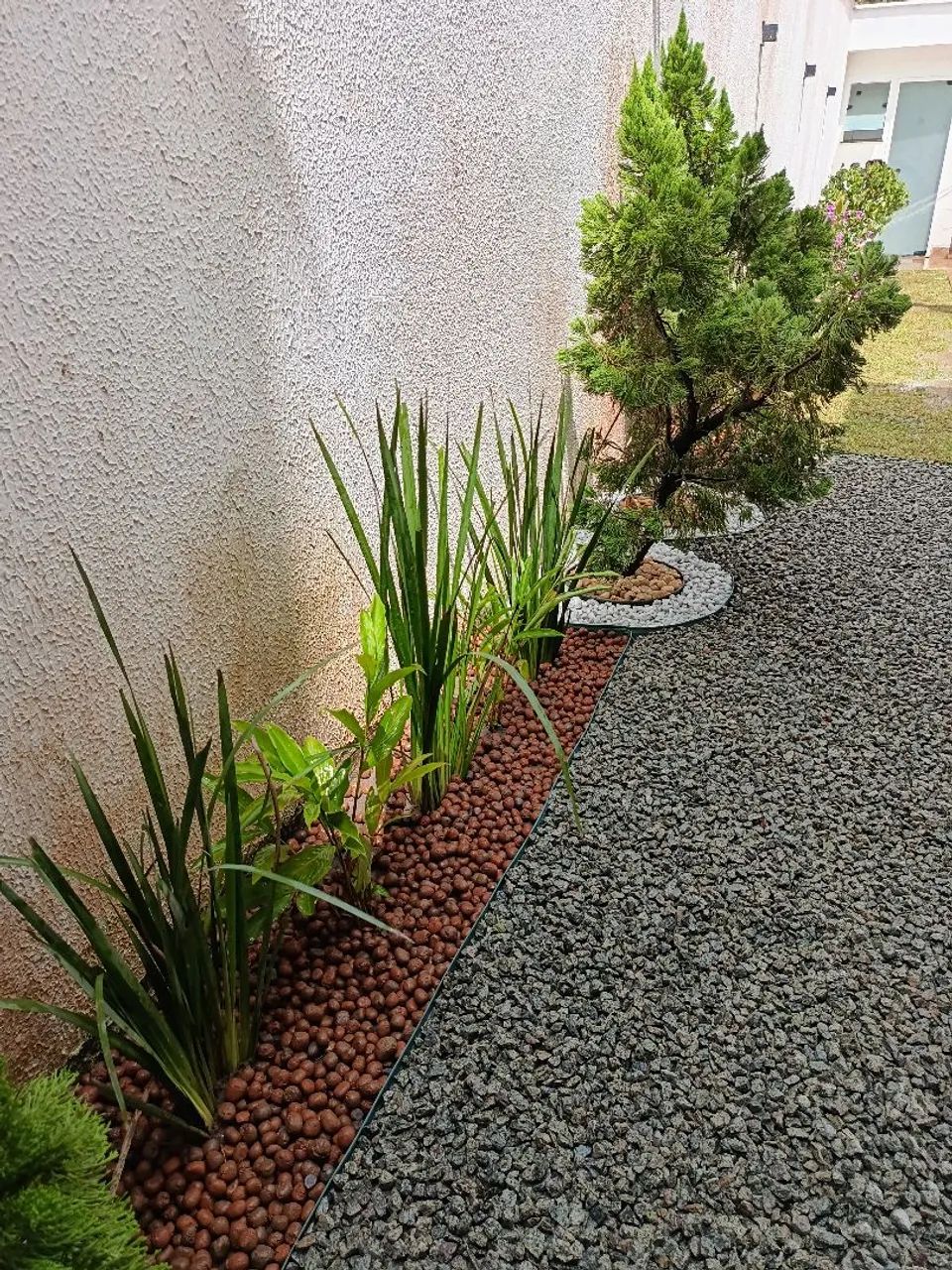 Jardineiro  - Foto 4