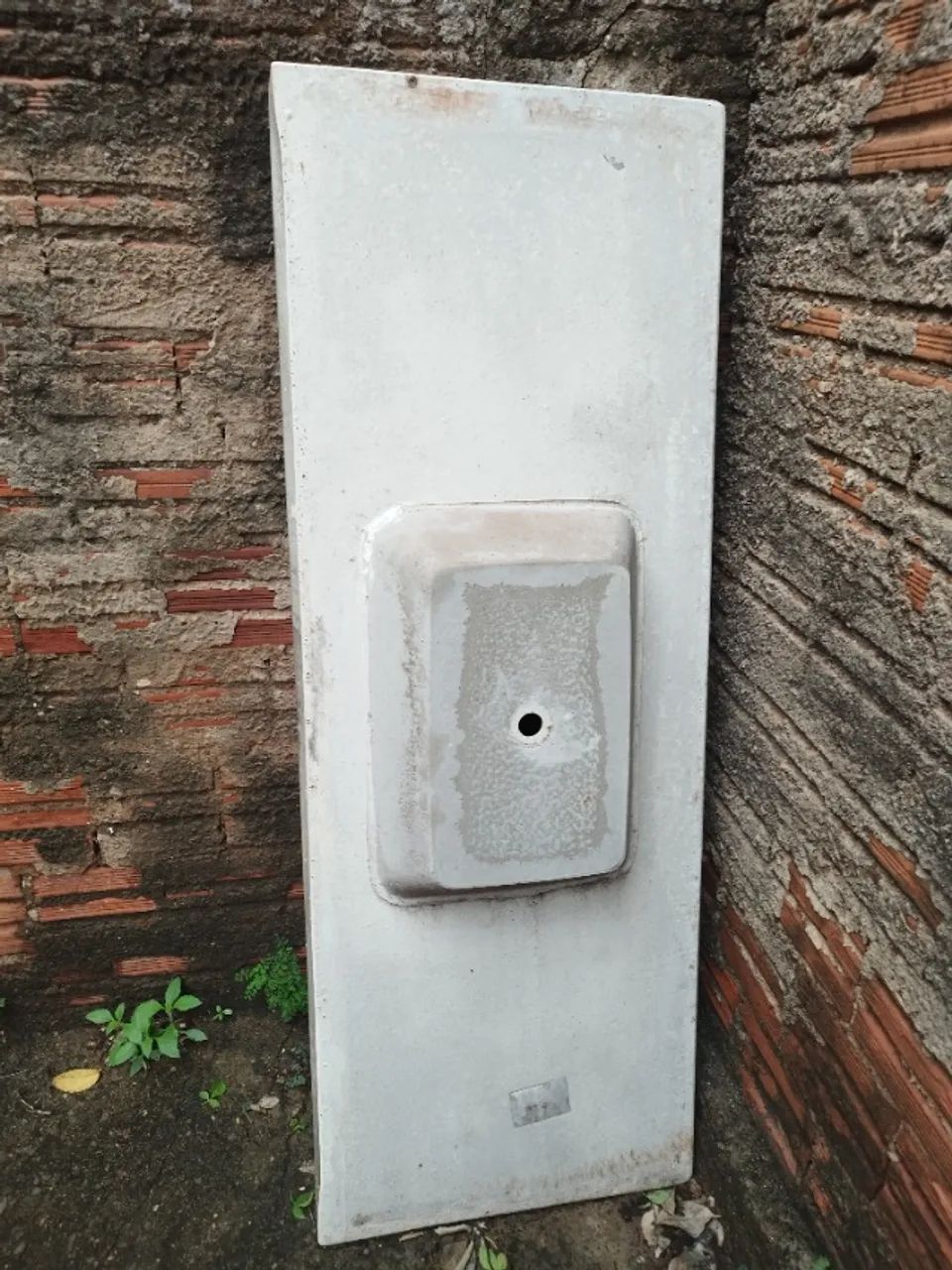 Pia
