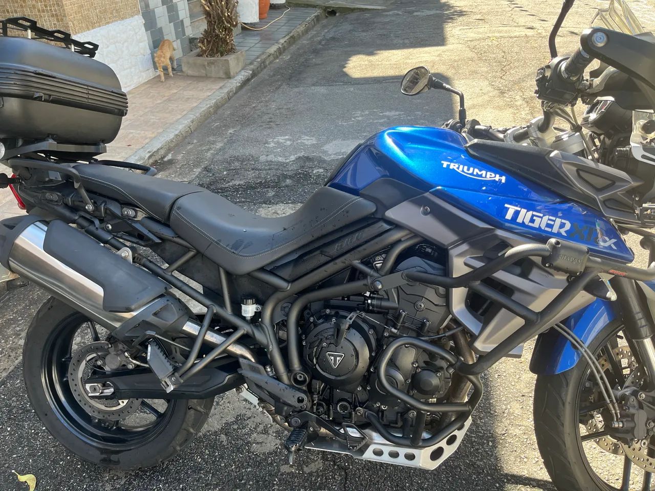 Taiger 800 - Foto 2
