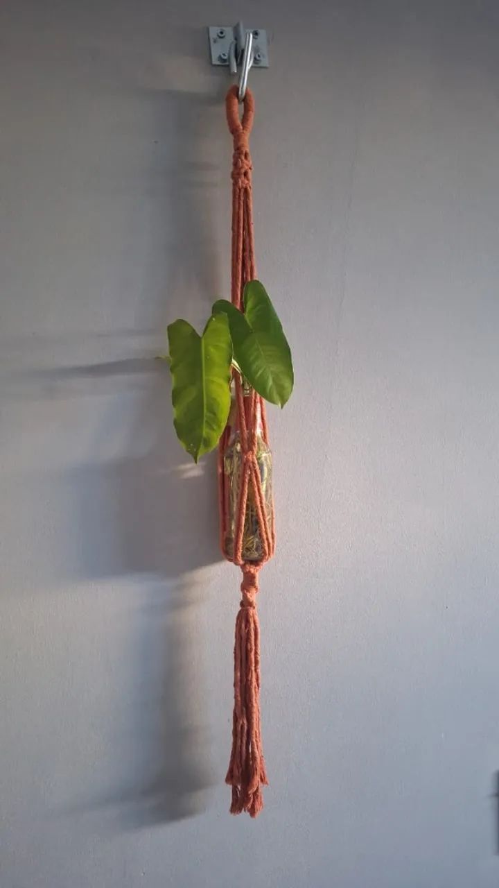 Suporte de planta, de parede