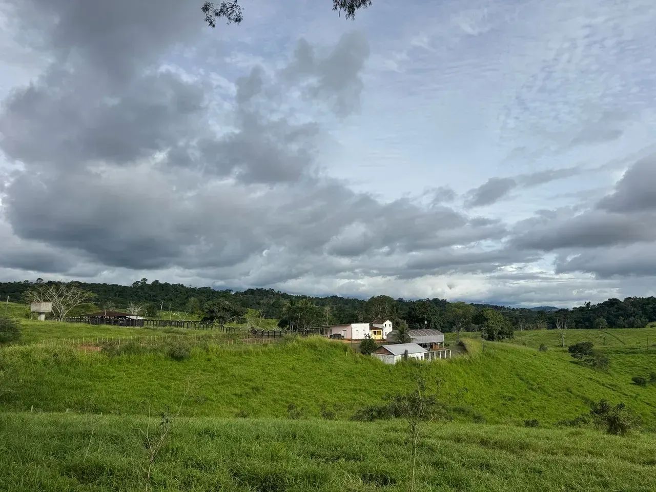 FAZENDA DE PECUÁRIA E CACAU
