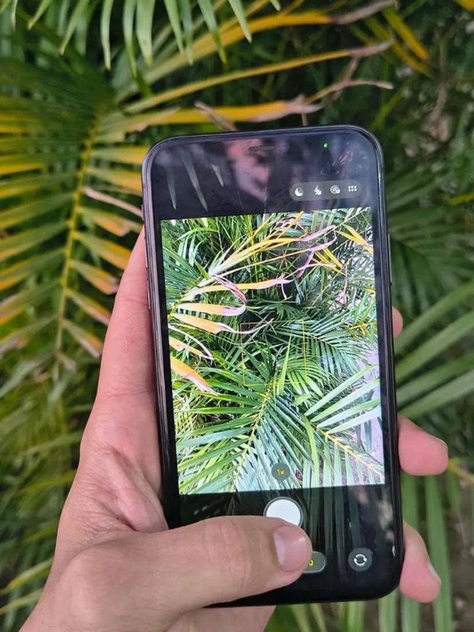 iPhone 11 preto -  tudo 100% - Foto 2