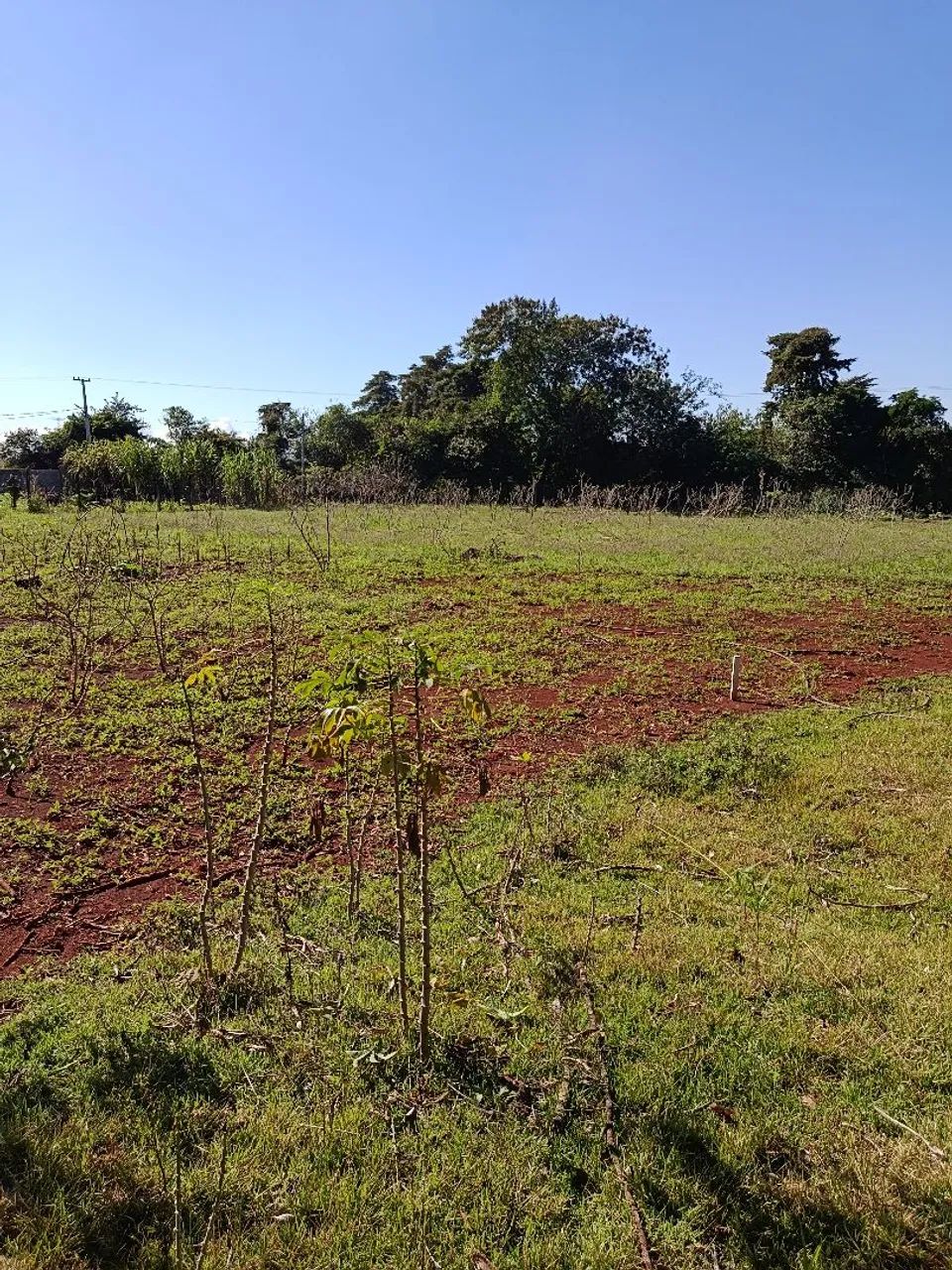 Terreno Rural 2.500 m² para Chácara - Marialva/PR<br>