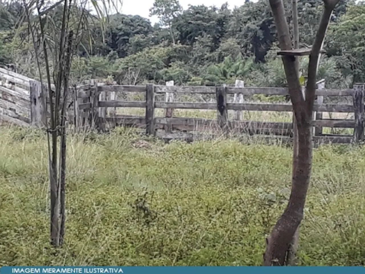 Imóvel Rural 37 ha (Chácara) - Araguatins - TO - Foto 4