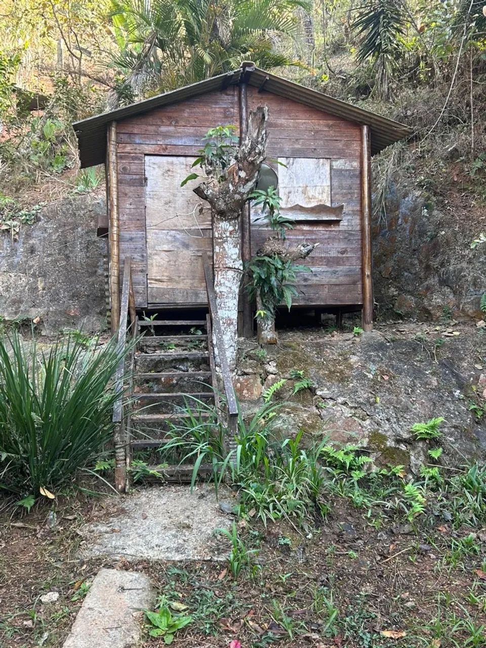 Sitio em Bomfim - Foto 3