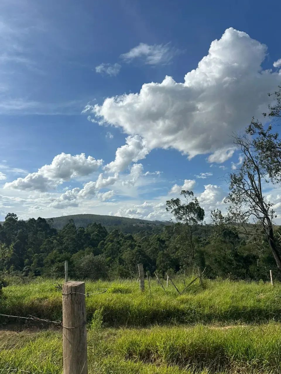 Vista, Natureza e Privacidade em Mairinque - Foto 4