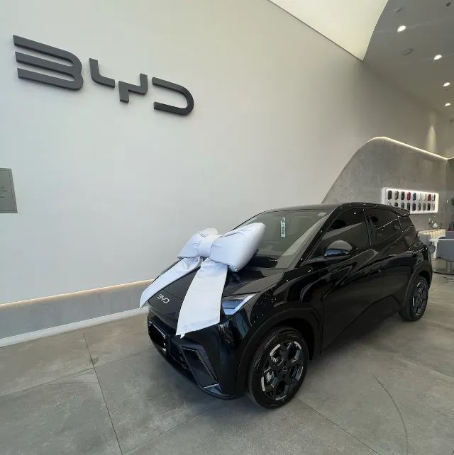 BYD Dolphin Mini (Elétrico) 2026 - Foto 2
