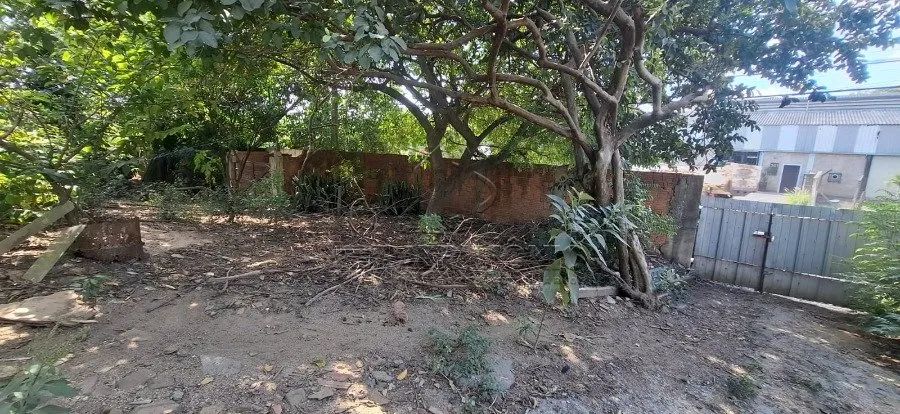 TERRENO JARDIM MORROS - Foto 5