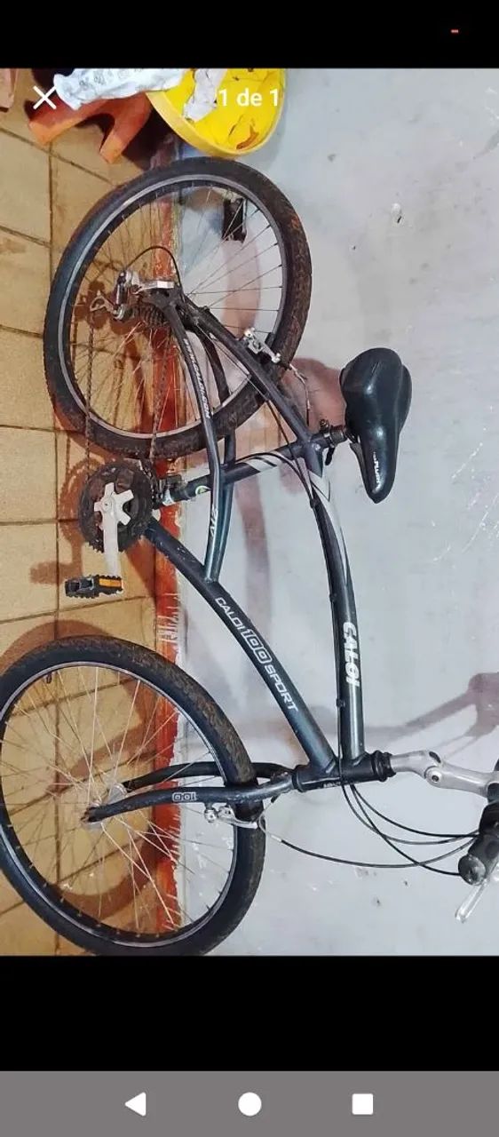 Bicicleta 