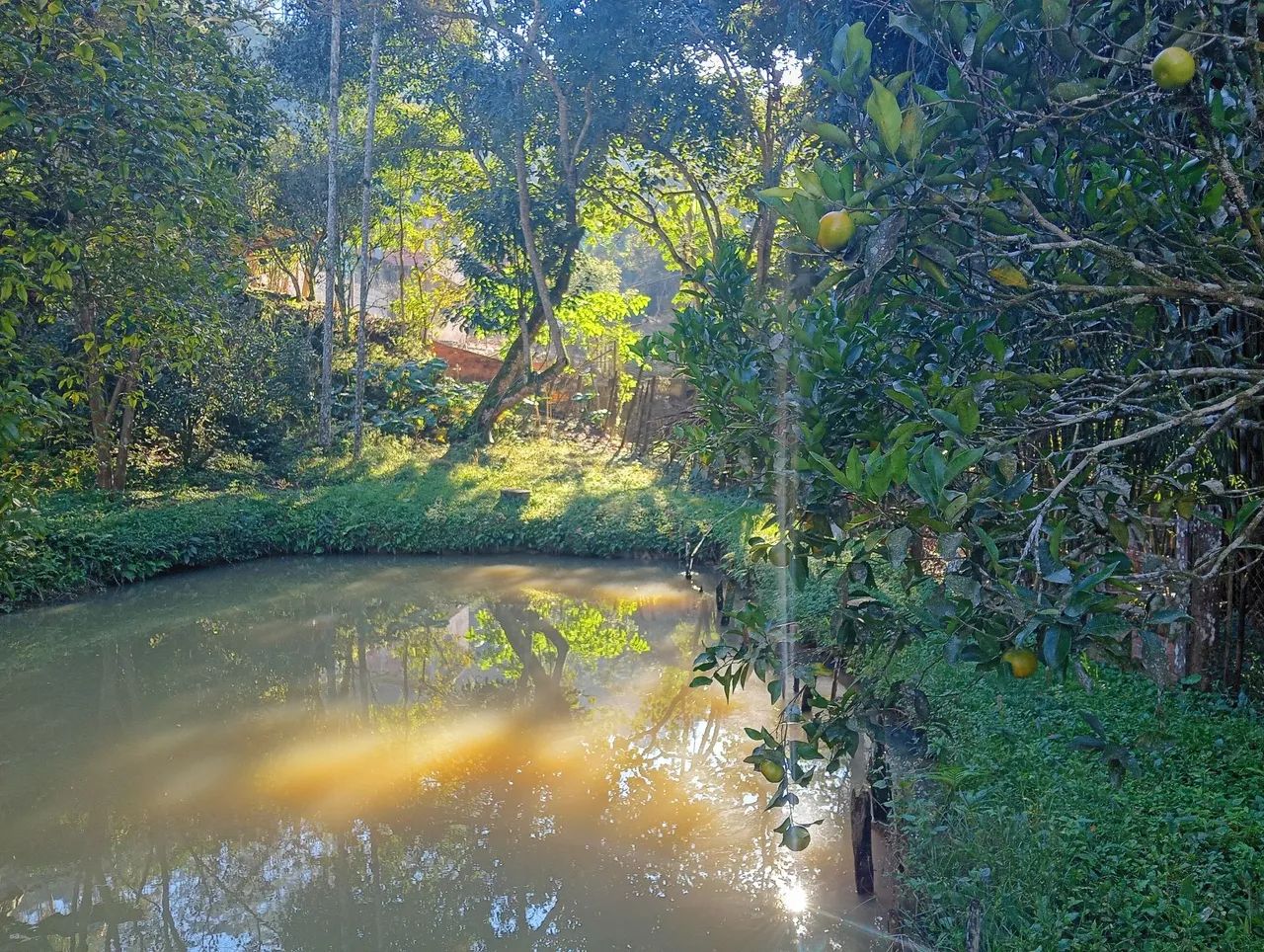Chácaras e sítios a venda  - Foto 5