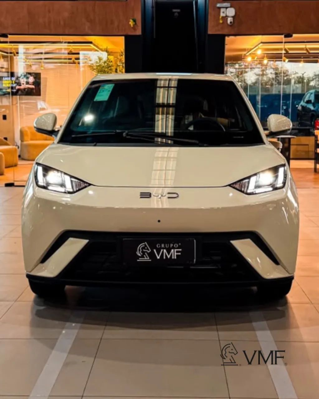 BYD Dolphin Mini (Elétrico) 2027 - Foto 2