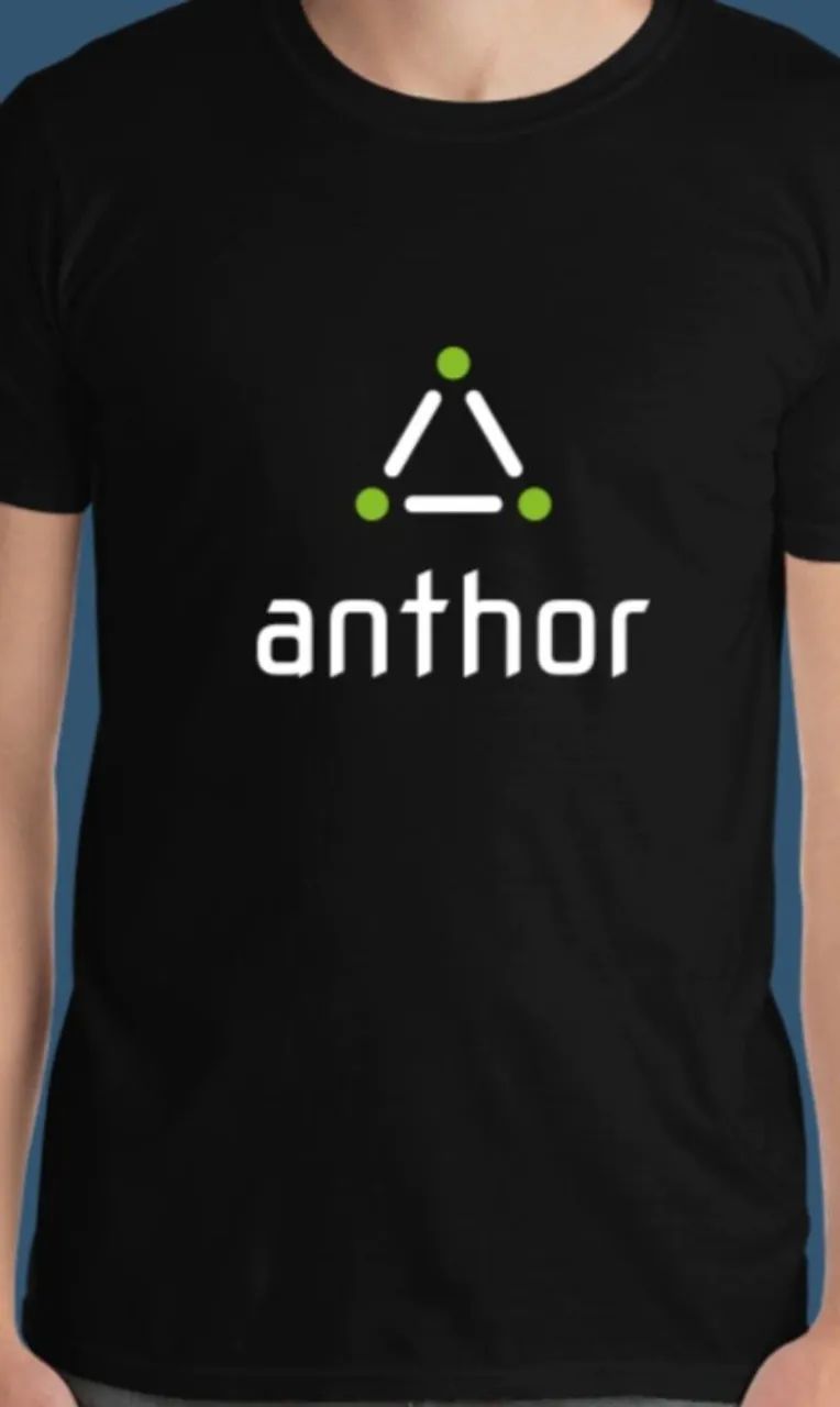 Camiseta anthor