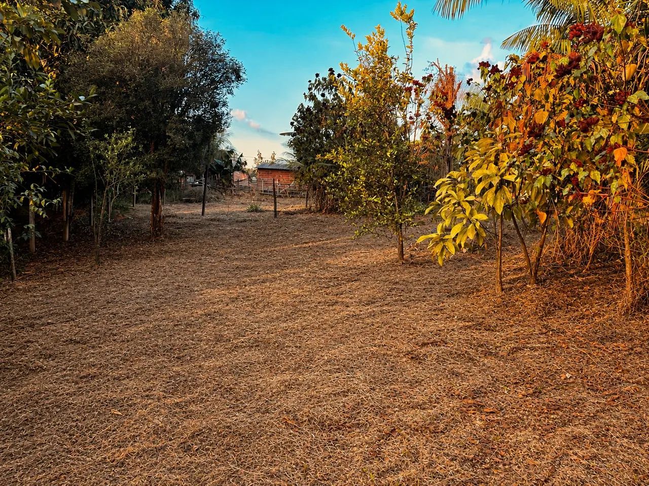 Vende - se Terreno  - Foto 2
