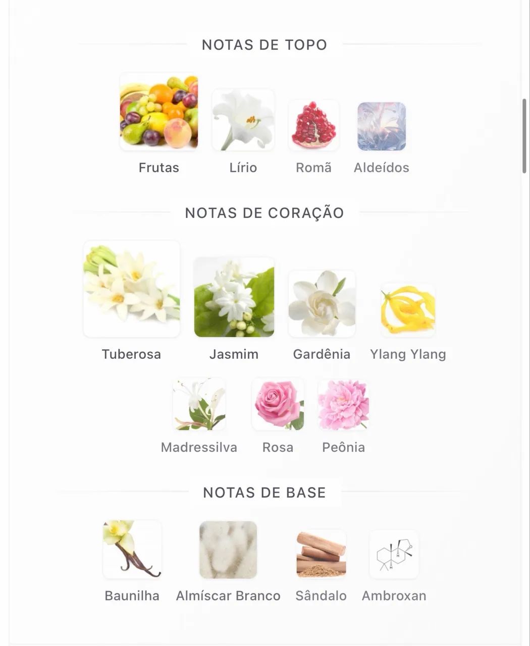 PERFUME LATTAFA ROSE GOLD  - Foto 4