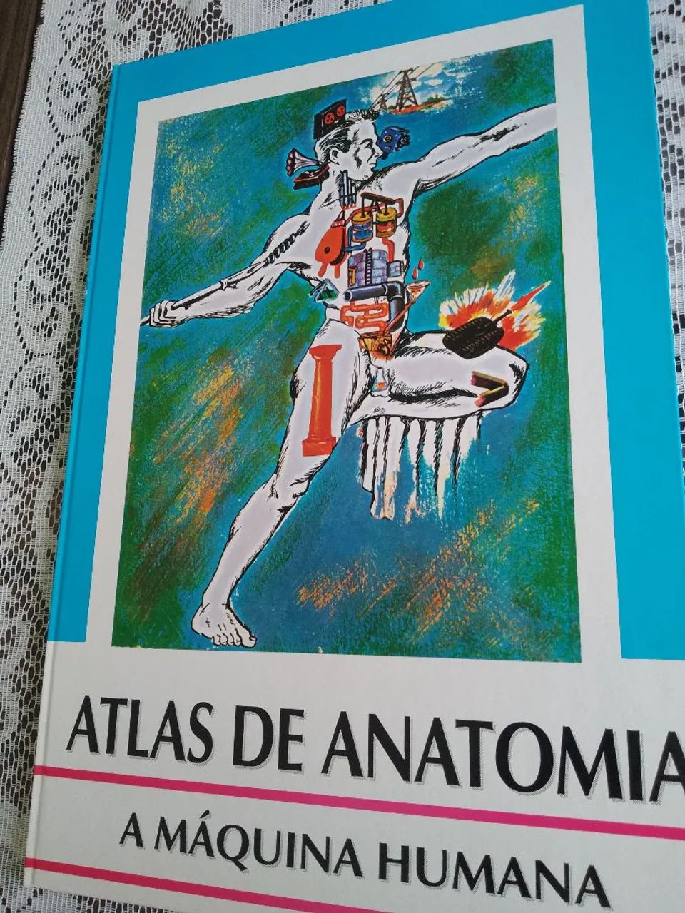 Atlas de anatomia 