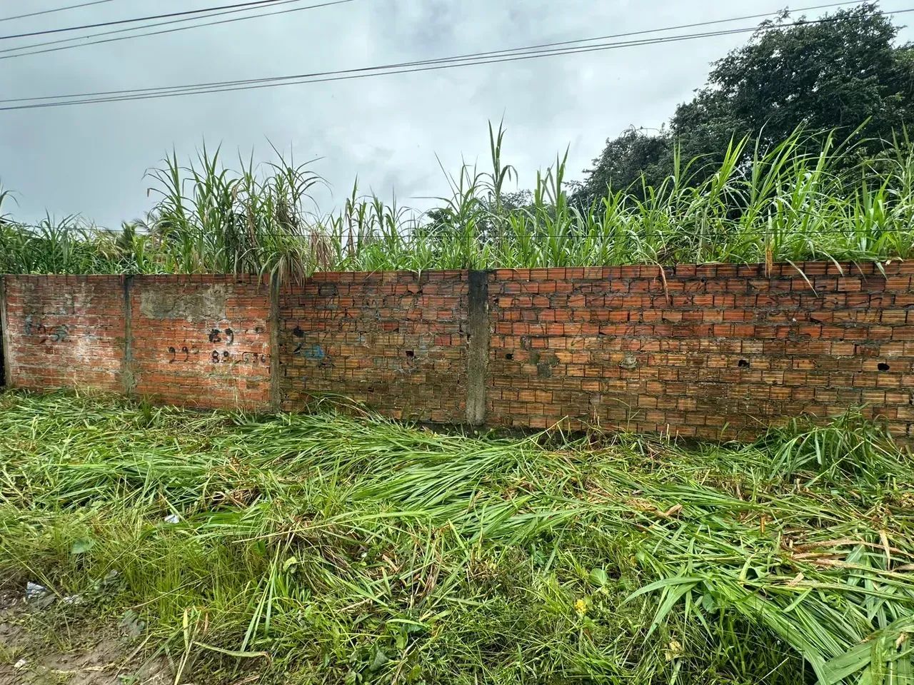 TERRENO COM 5 MIL METROS NO TAPANA. - Foto 5