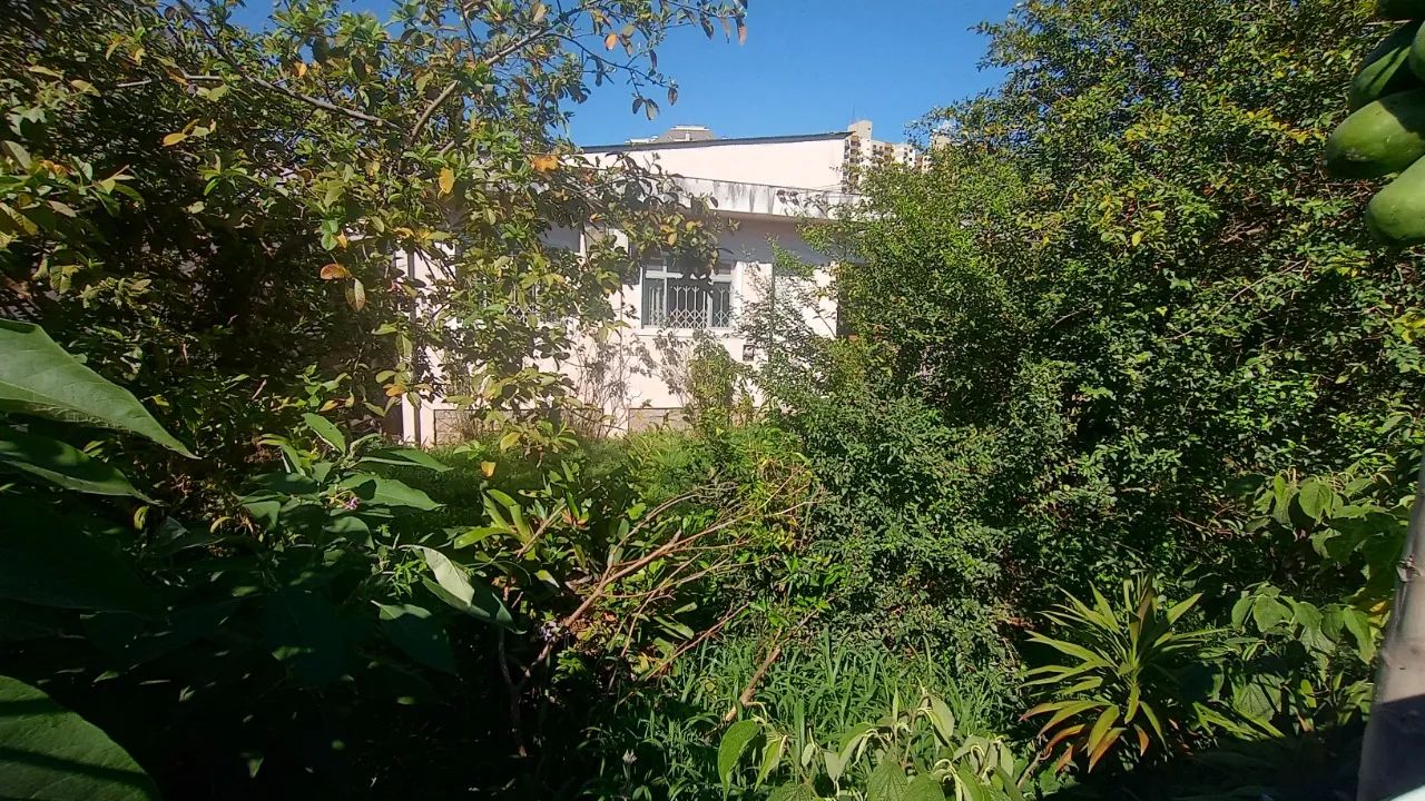 Terreno com 392m² à venda no Canto - Foto 4