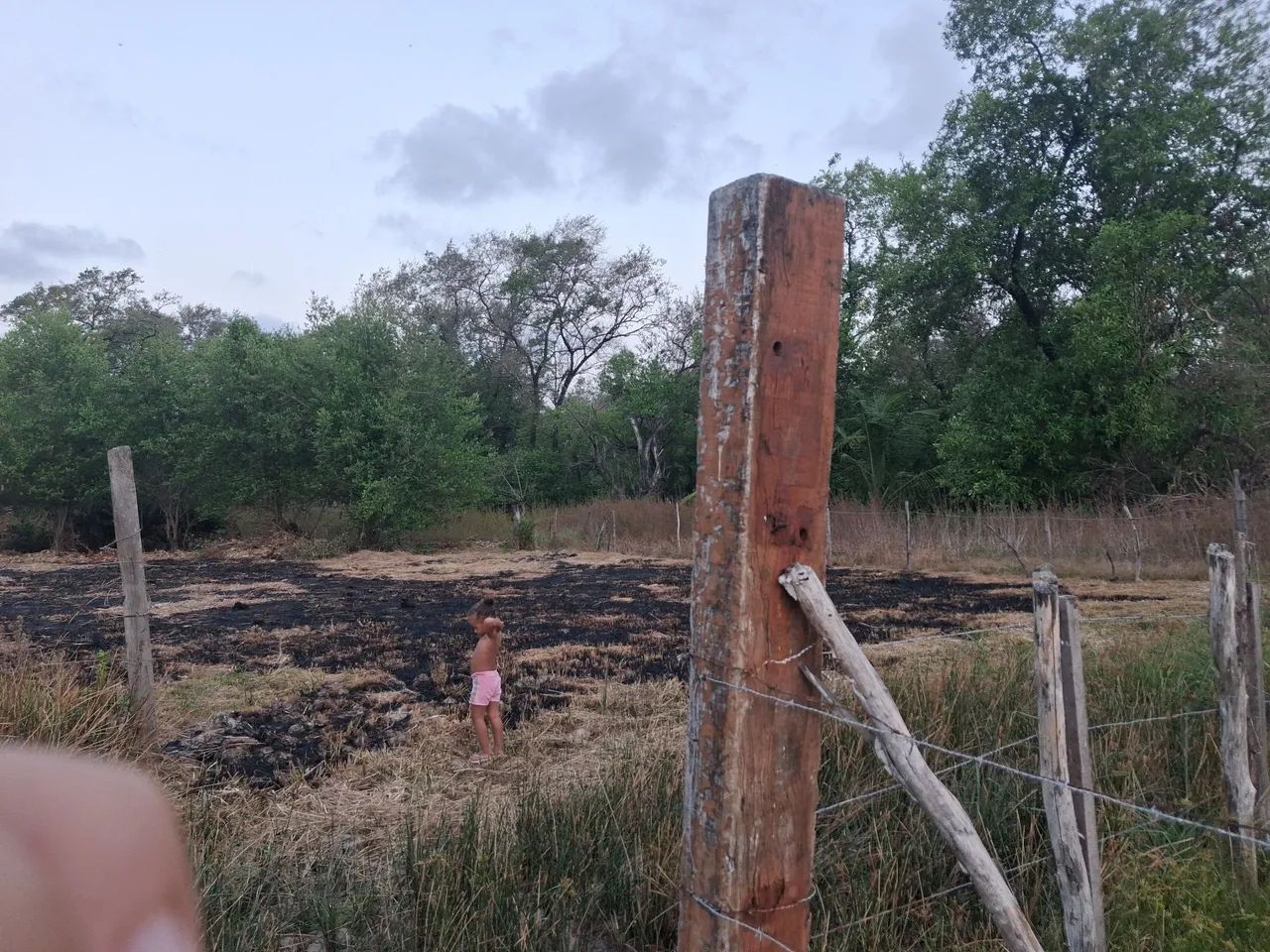 Vendo este terreno  - Foto 2