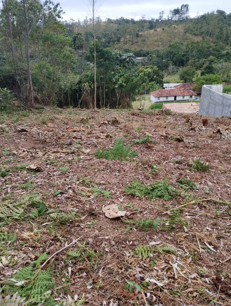 Vendo terreno 1000m2 ótima localização. - Foto 5