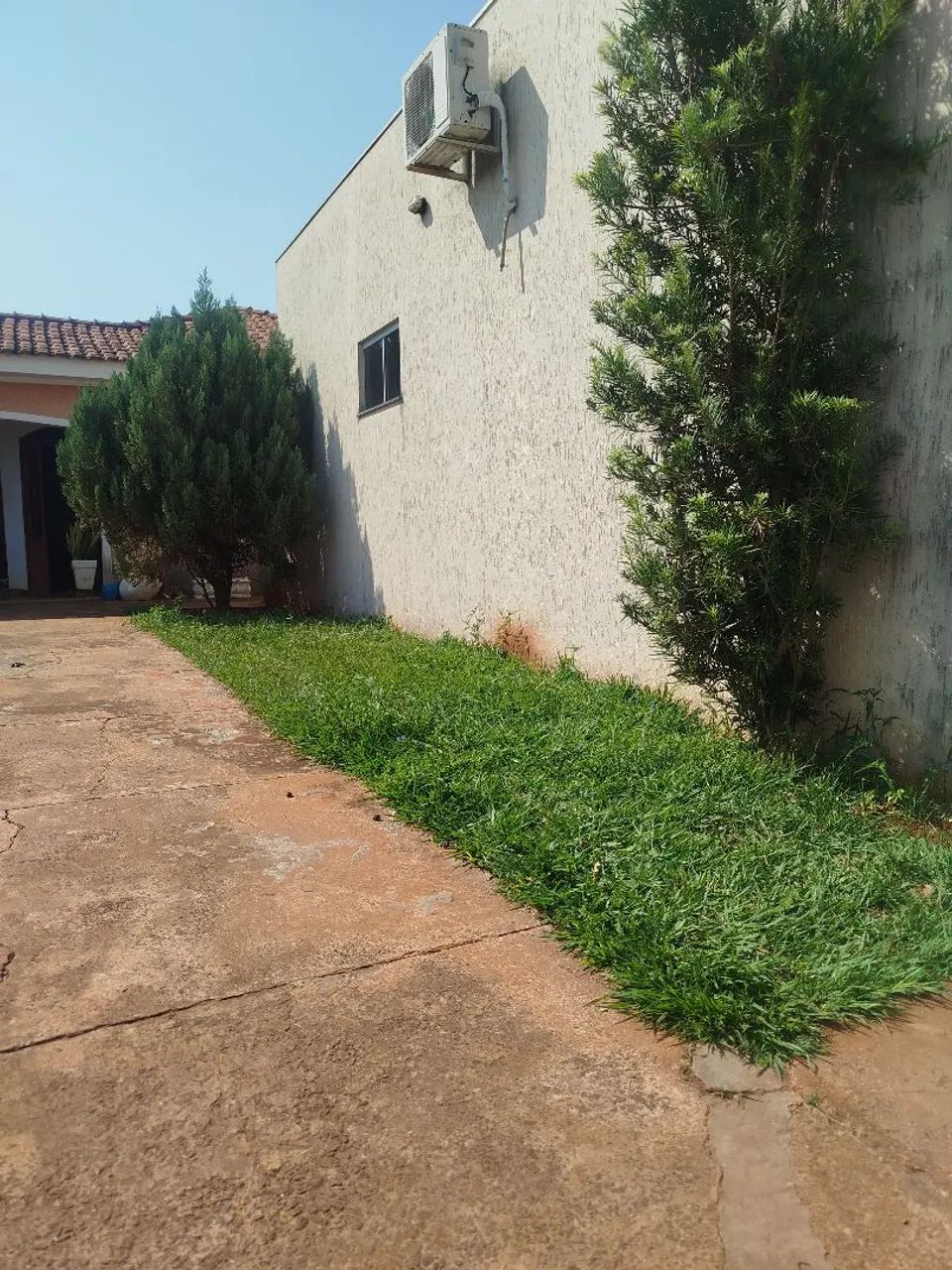 Jardineiro - Foto 2