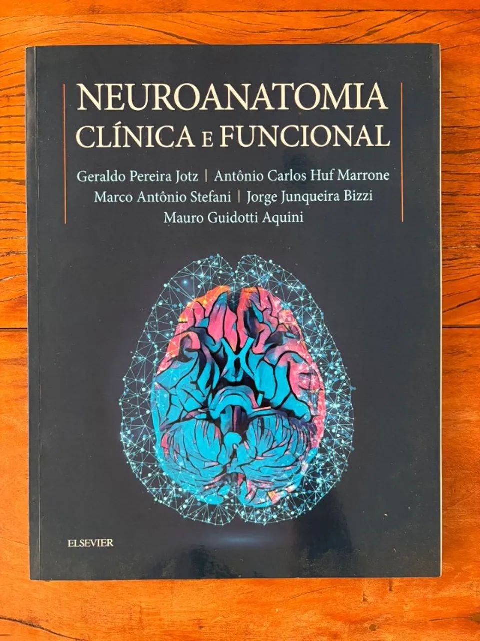Livro Neuroanatomia Clínica e Funcional
