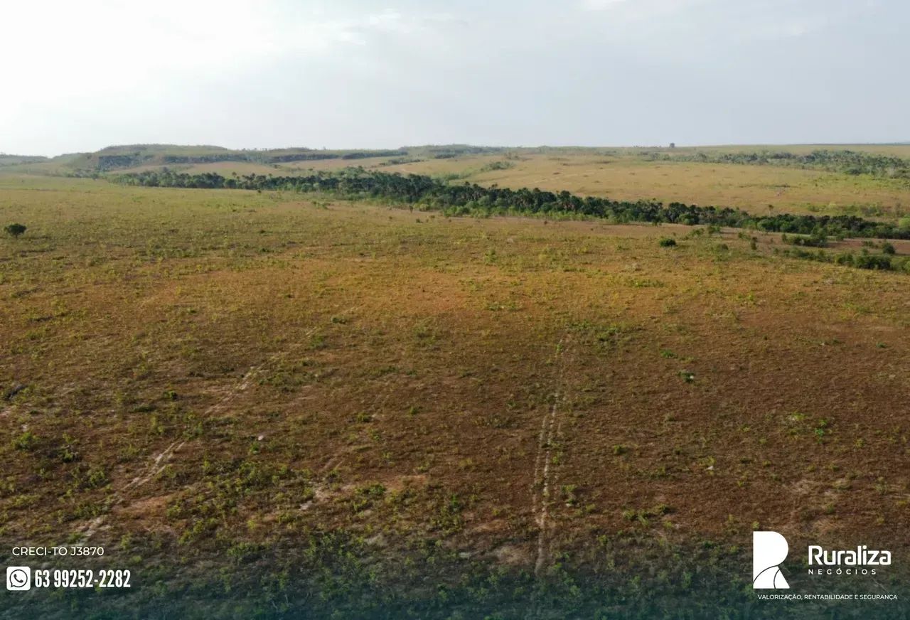 650 ALQUEIRES | 1.750 HA AGRICULTÁVEIS | 1.500 HA ABERTOS - Foto 9