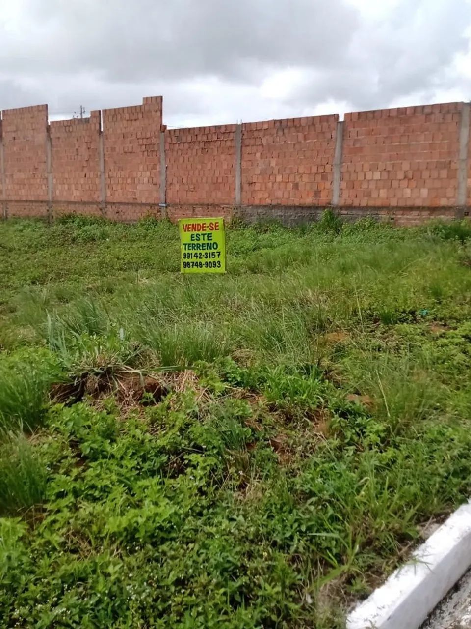 Terreno nova marechal  - Foto 5