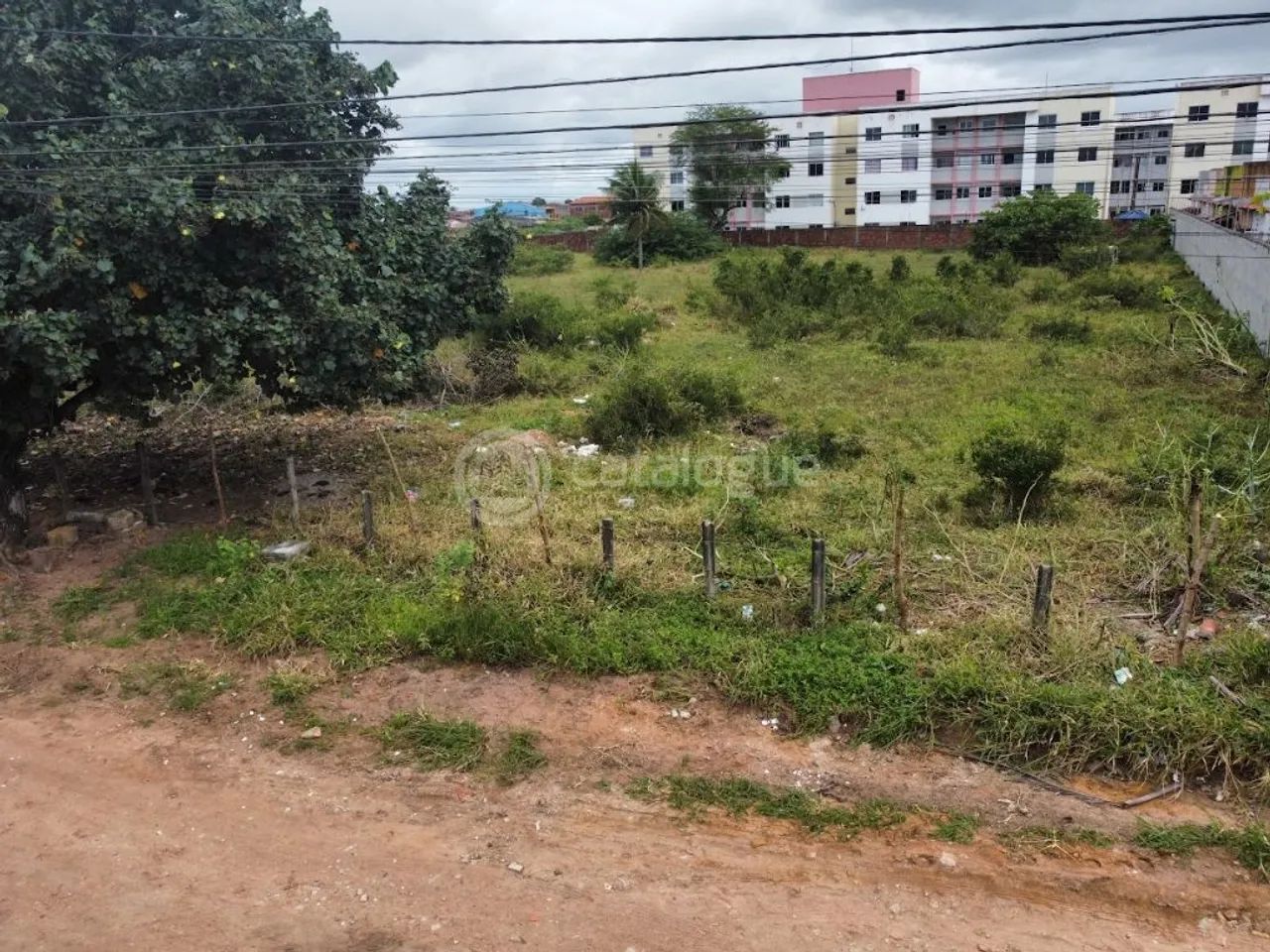 Terreno no Bairro do Planalto - Foto 5