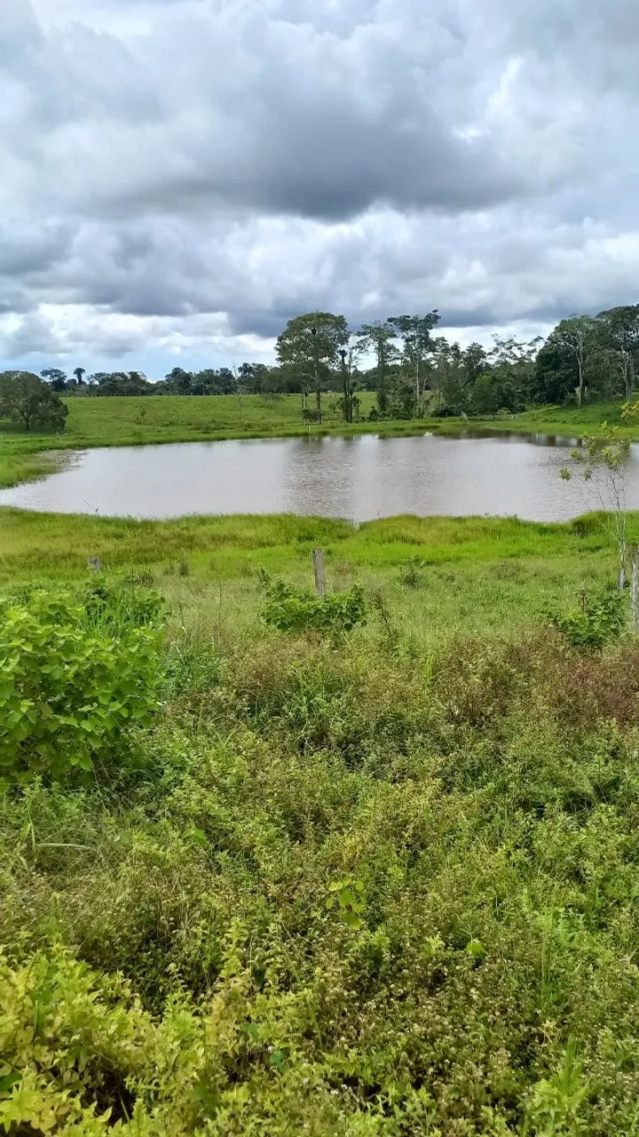 Colônia a venda! - Foto 2