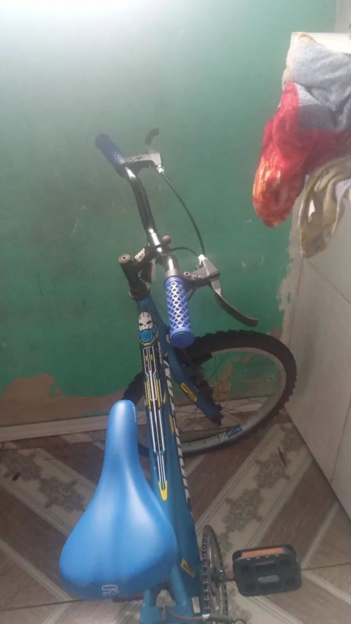 bicicleta 