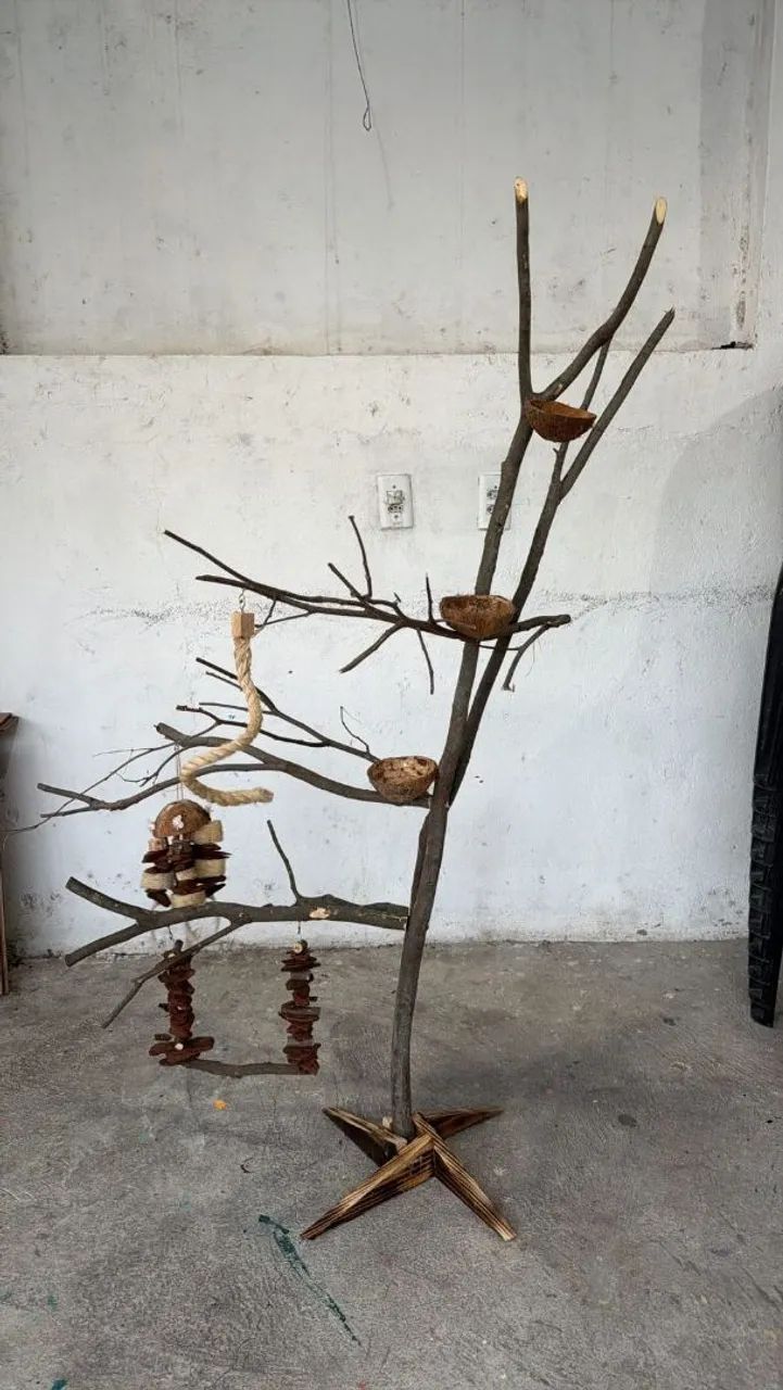 Galhos para pássaros 