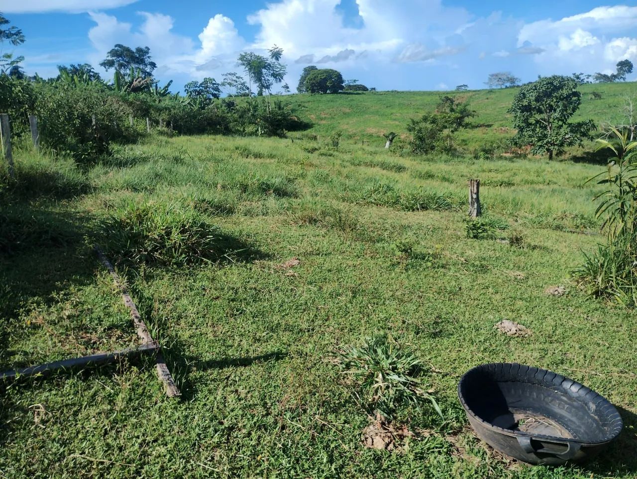 Terra a venda em Acrelândia/Ac - Foto 2