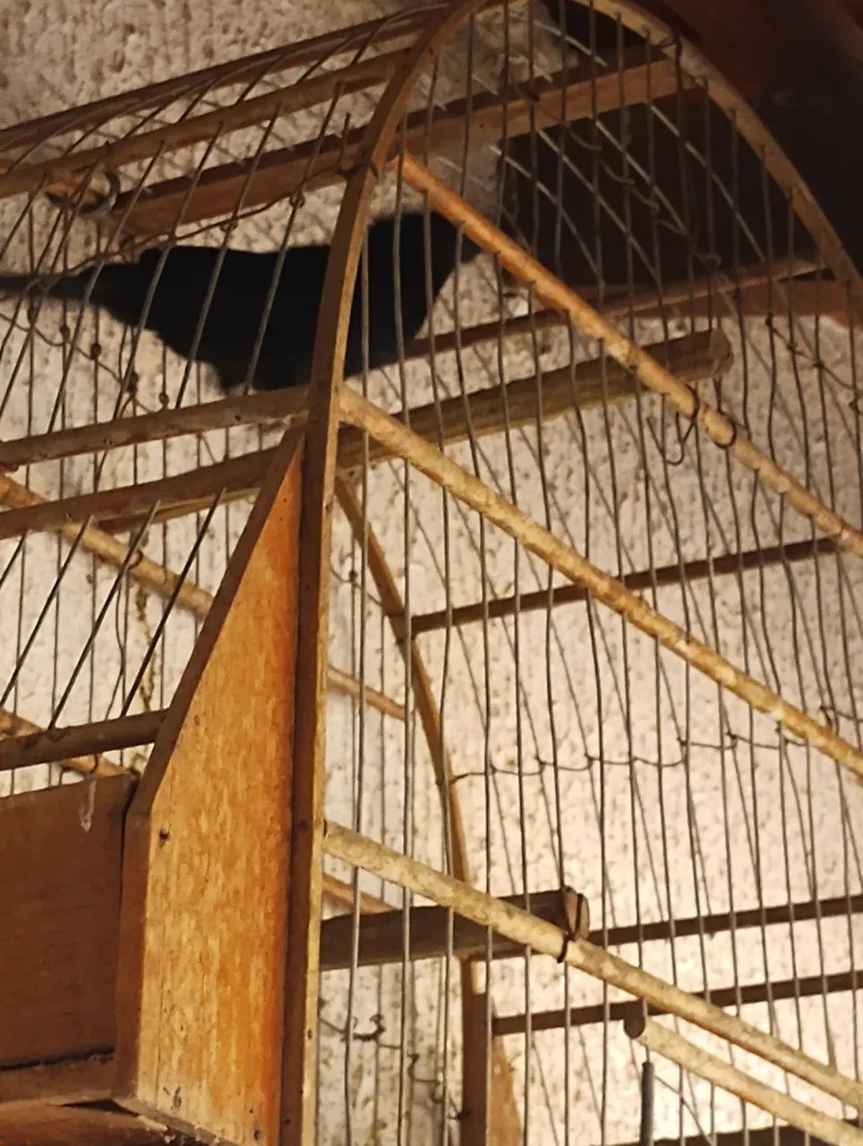 Gaiolas de madeira  - Foto 5