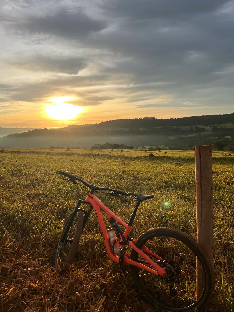 2022 Stumpjumper Alloy specialized