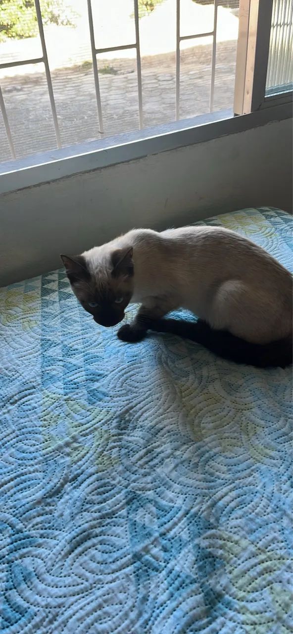 Doação  - Foto 4