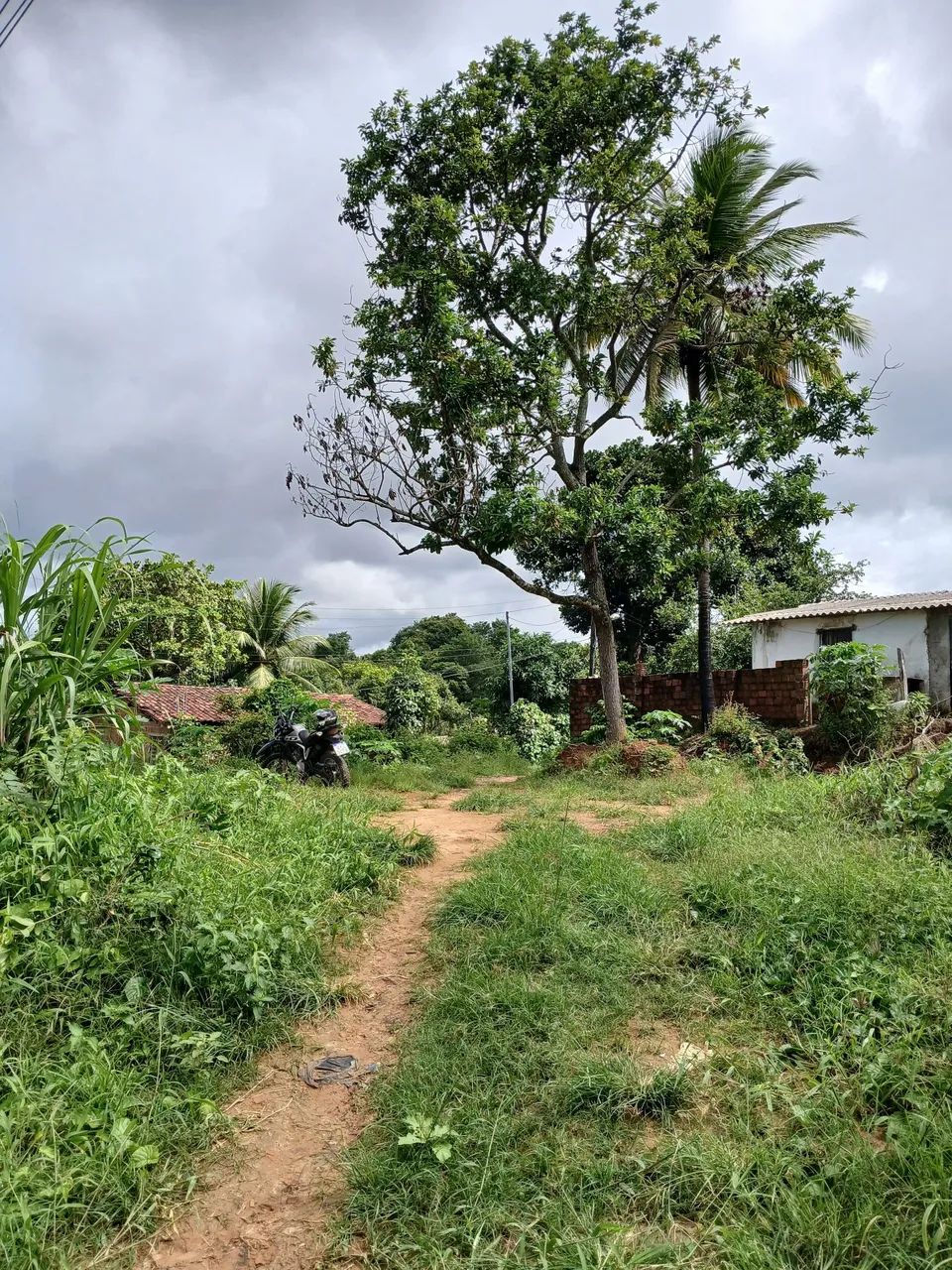 TERRENO GRANDE  - Foto 4