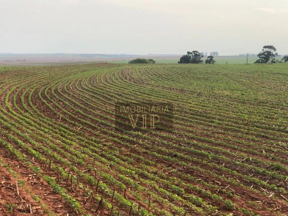 ZONA RURAL - FLORESTOPOLIS - Foto 2