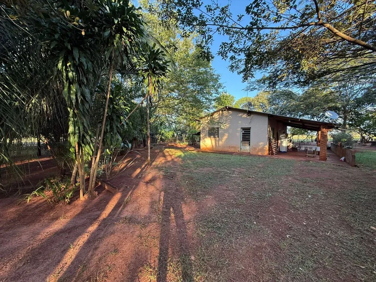 CÓD. 501  Chácara à venda com 31,9 hectares em Sidrolândia/MS - Foto 2
