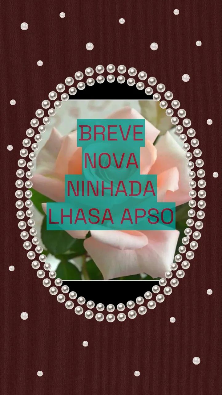 Lindos bebês Esmerada