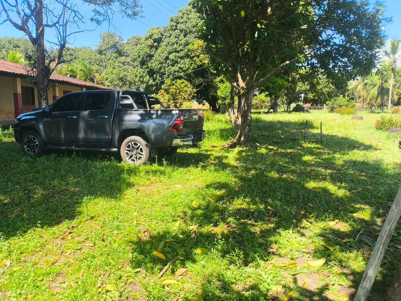FAZENDA À VENDA  MIRANDA DO NORTE/MA - Foto 3