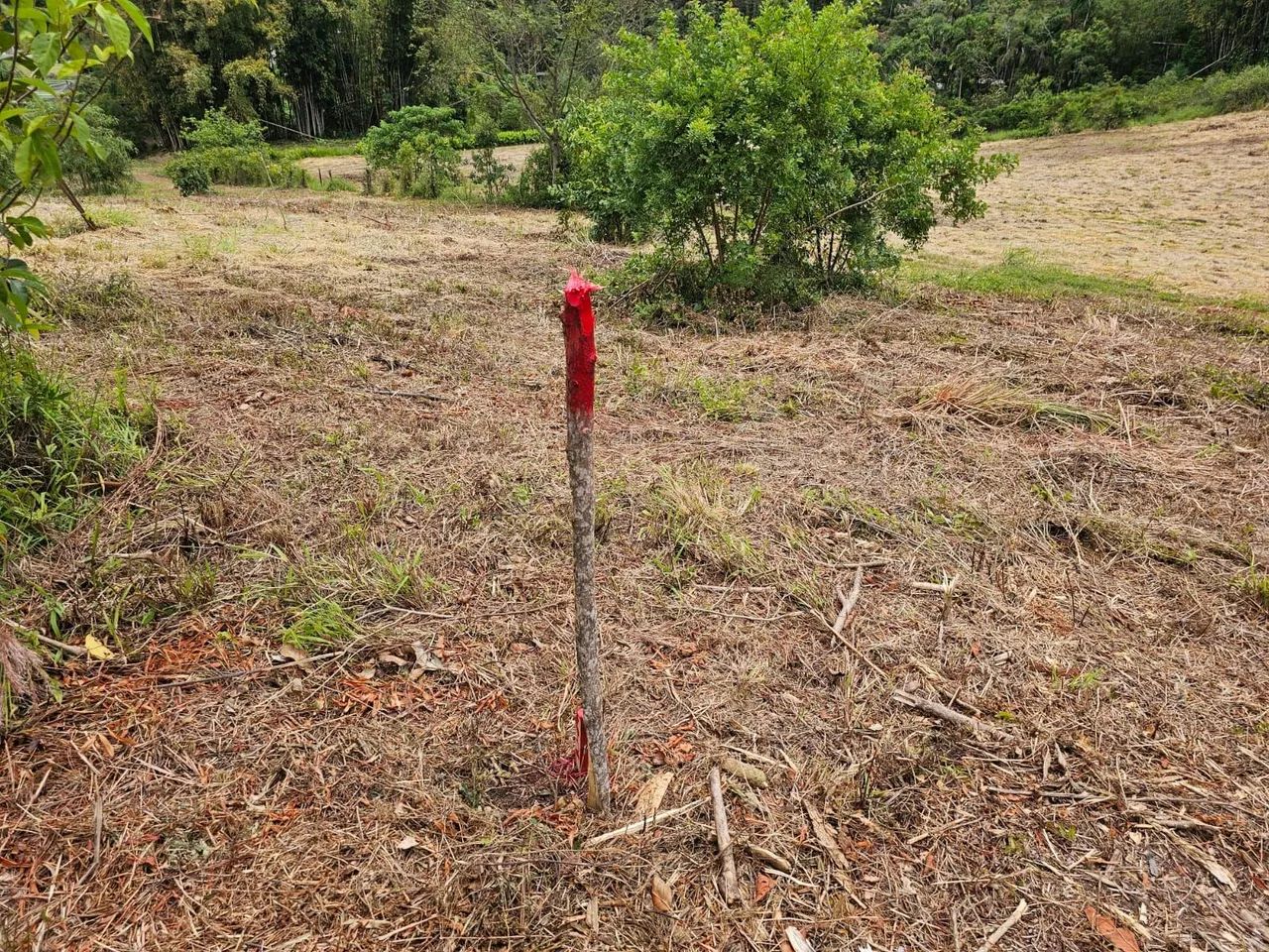 Chácara com escritura em Vila Moraes Mogi das Cruzes  - Foto 2