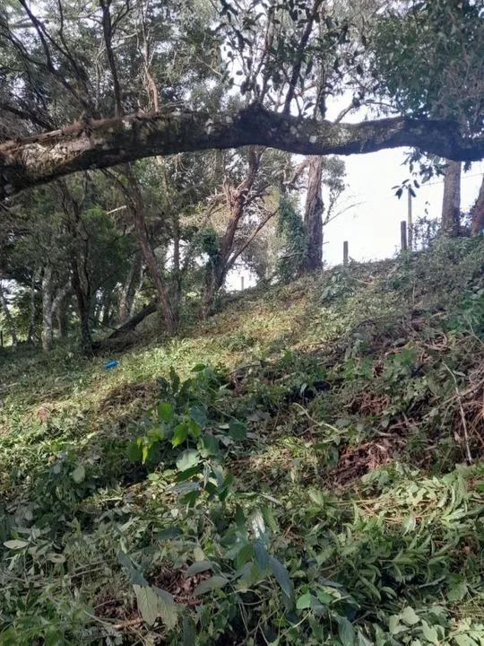 Terreno para Venda em Florianópolis, Sambaqui - Foto 2